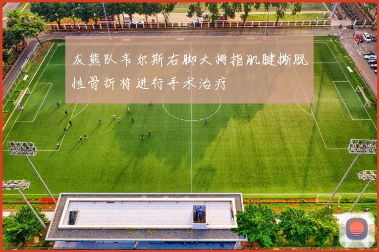 灰熊队韦尔斯右脚大拇指肌腱撕脱性骨折将进行手术治疗