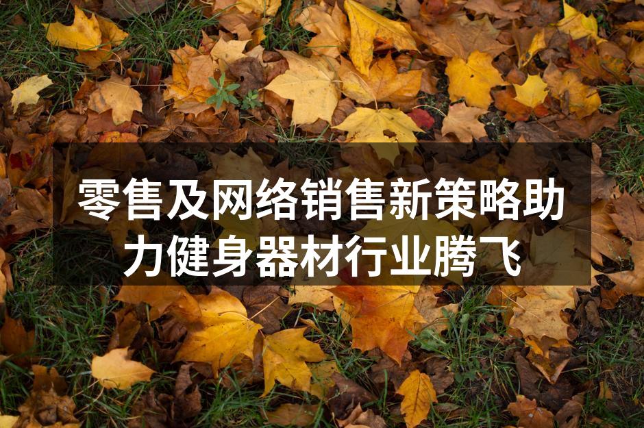 新款多功能健身器材展示