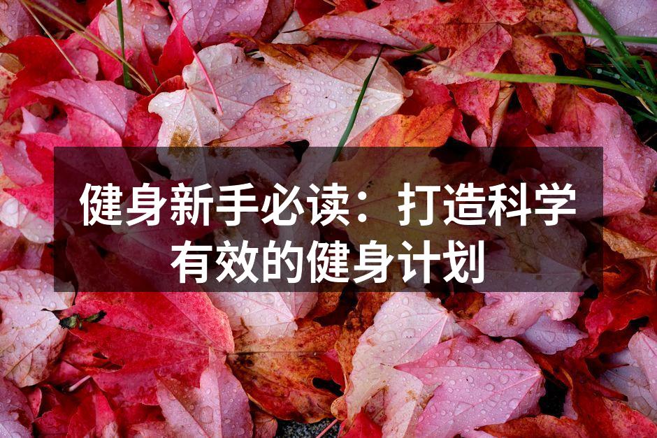 力量训练是健身的基础