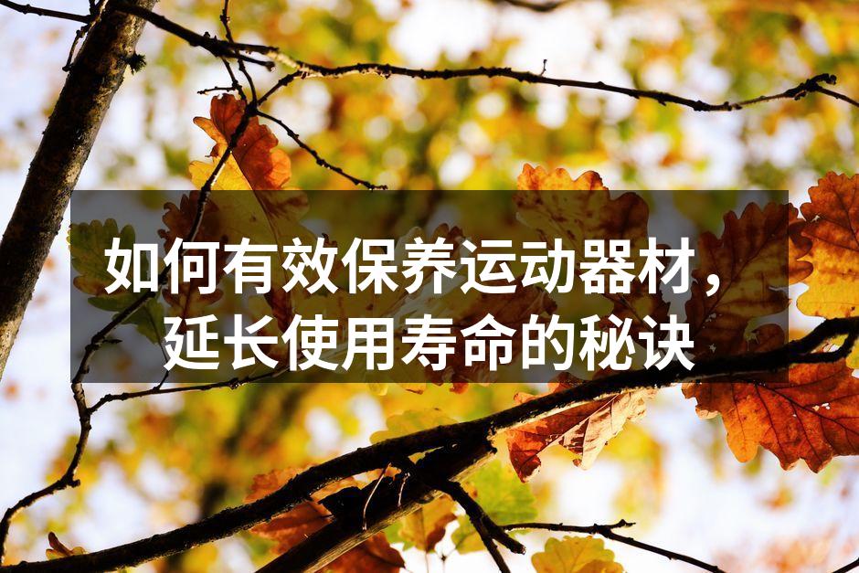 定期清洁运动器材是必不可少的步骤